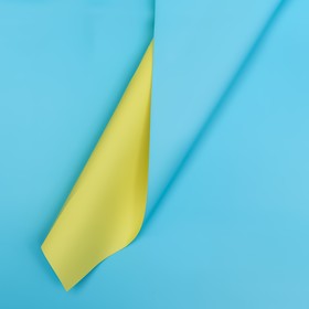 Плёнка двусторонняя цветная матовая 60 х 60 см, цвет жёлтый/голубой
