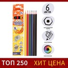 6 colors Calligrata sharpened pencils, hexagon, plastic, cardboard packaging, euro-weight