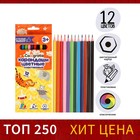 12 colors Calligrata sharpened pencils, hexagon, plastic, cardboard packaging, euro-weight