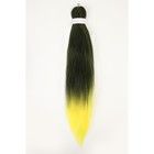 SIM-BRAIDS Канекалон двухцветный, гофрированный, 65 см, 90 гр, цвет болотный/жёлтый(#T1B/Yellow) - фото 127222860