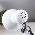 Лампа настольная Е27, h=55 см, шарнирная, на зажиме (220В) белая - фото 3269776 Лампа настольная Е27, h=55 см, шарнирная, на зажиме (220В) белая - фото 3269776