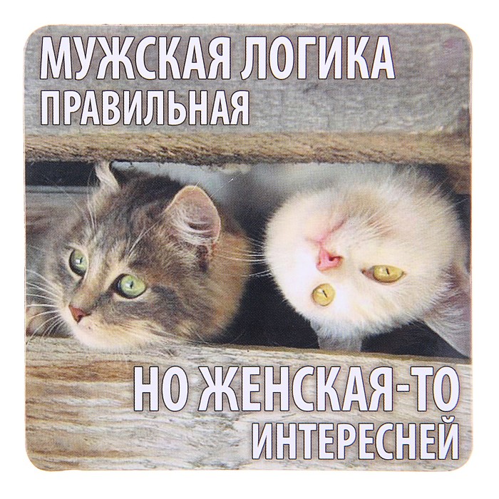 Мужская логика картинки с надписями, днем ангела