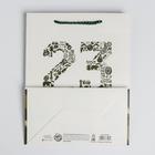 Пакет ламинированный вертикальный «23 февраля», MS 18 × 23 × 10 см 5187553