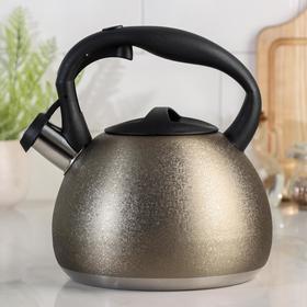 Teapot 3 l with a whistle 
