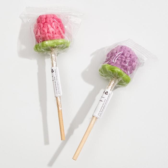 Цветок похож на малинку на палочке. Телевизор mystery mtv-4225lt2 42". Малина. Малинка 18. Малина на белом фоне.