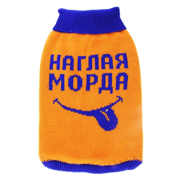 Свитер XL &quot;Наглая морда&quot; (ДС 38-42 см, ОГ 54-60 см)