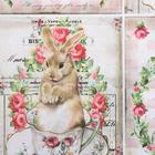 Набор декупажных карт 6 шт  "Зайки,цыплятки" плотность 45г/м2 - фото 797516860