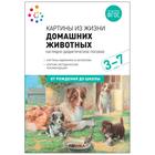 Наглядное пособие. Картины из жизни домашних животных. 3-7 лет. ФГОС . 6626543 - фото 8033822