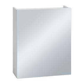 Шкаф-зеркало Классик 55 Белый, 55 х 19 х 70 см