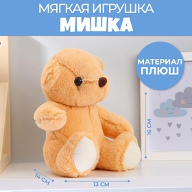 Мягкая игрушка «Мишка Тёмка», 12 см в Донецке