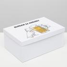 Подарочная коробка с приколами "За любовь", 30,5 х 20 х 13 см 6255435