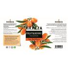 Концентрат RiCHEZA «Облепиха», 1000 г - фото 801276782