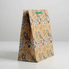 Пакет крафтовый вертикальный «Best the best», ML 23 × 27 × 11,5 см 5187803