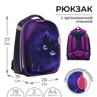 Рюкзак каркасный школьный, 37 х 28 х 19 см, Calligrata К "Котик" 5491490 - фото 6092146