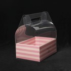 Коробка-переноска Dreams come true, 26,5 х 30 х 18,5 см - фото 798891421