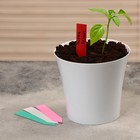 Бирки садовые для маркировки, 10 см, набор 20 шт., пластик, цвет МИКС 5217610