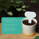 Таблички садовые для маркировки, 7 см, набор 20 шт., пластик, цвет МИКС, Greengo 5217611