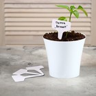 Таблички садовые для маркировки, 10 см, набор 20 шт., пластик, цвет МИКС 5217612