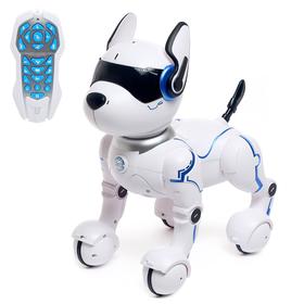 {{photo.Alt || photo.Description || 'Робот - собака, радиоуправляемый «Фьючер», русское озвучивание, работает от аккумулятора'}}