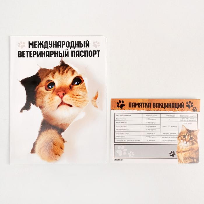 Обложка для ветеринарного паспорта «Международный ветеринарный паспорт» и памятка для кошки - фото 798970370