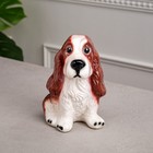 Копилка "Собака Спаниэль", коричневый цвет, глянец, керамика, 19 см - фото 1376222