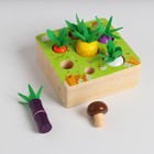 Развивающий набор «Вытащи овощи и грибы» 15×15×11 см - фото 829159