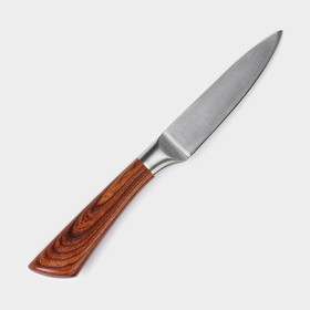 Нож кухонный Доляна Forest, овощной, лезвие 9,5 см