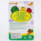 Ниблер для прикорма с силиконовой сеточкой «Весёлая тыква», р-р сеточки М - фото 799194767