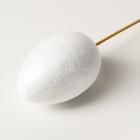 Набор яиц на палочке для творчества 2 шт., размер 1 шт: 6 × 8 см - фото 799316207