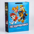 Пакет ламинат вертикальный "Поздравляю!", 31х40х11 см, Щенячий патруль 5271818