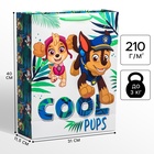 Пакет ламинат вертикальный "Ready for action", 31х40х11 см, Щенячий патруль 5271821