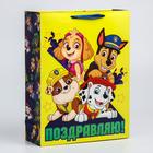 Пакет ламинат вертикальный "Поздравляю!", 31х40х11 см, Щенячий патруль 5271823