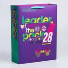 Пакет ламинат вертикальный "Mickey athletics", 31х40х11 см, Микки Маус 5271832