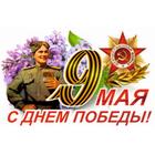 Наклейка на авто "9 Мая (Солдат) ", 500*330 мм 6913640 - фото 8029718