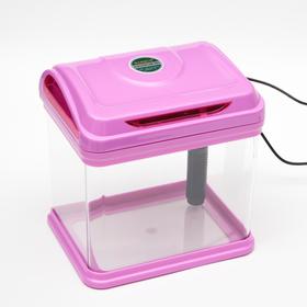 Мини-аквариум BARBUS с фильтром и подсветкой LED, фиолетовый 4л