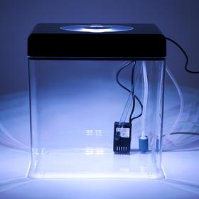 Аквариум куб в комплекте с биологическим фильтром, бесшумным компрессором и светильником LED, 15 л