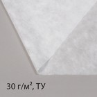 Материал укрывной, 20 × 1.6 м, плотность 30 г/м², с УФ-стабилизатором, белый, Greengo, Эконом 20% - фото 6990717