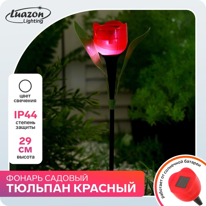 {{photo.Alt || photo.Description || 'Фонарь садовый на солнечной батарее &quot;Тюльпан красный&quot; 30.5 см, d-5 см, 1 led, пластик'}}