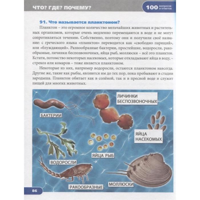 электронная игровая книга маленькие знатоки. маленькие знатоки книга. книга что где почему. что где почему. большая книга вопросов и ответов.