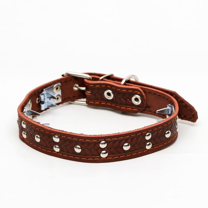 strict leather collar