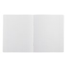 Тетрадь 24 листа в клетку Calligrata "Лис", обложка мелованный картон, ВД лак, блок офсет, белизна 95%, МИКС (10 шт) - фото 803237762