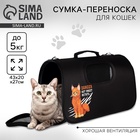 Сумка - переноска раскладная, каркасная Danger 43x20x27 см - фото 1688614