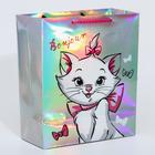 Пакет голография горизонтальный "Bonjour", Коты Аристократы, 25 х 21 х 10 см 5510785