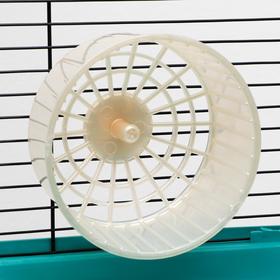 Колесо для грызунов  пластиковое, без подставки, 14,5 см, бежевый перламутр