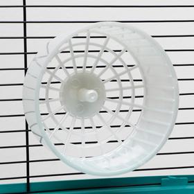 Колесо для грызунов  пластиковое, без подставки, 14,5 см, белый перламутр