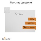 Холст на оргалите 4 мм, 30 х 40 см, хлопок 100%, 380 г/м², акриловый грунт, среднее зерно, белый 6971524 - фото 6138792