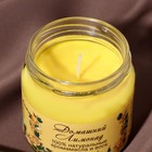 Натуральная эко свеча из пальмового воска, "Домашний лимонад", жёлтая, 7х7,5 см, 14 ч - фото 7942896