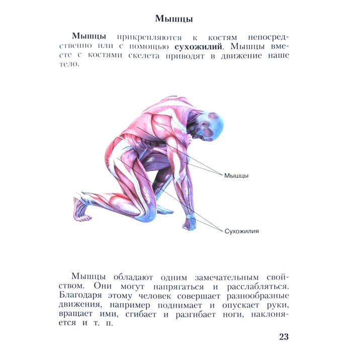 Учебник физическая культура 1 4 класс лях
