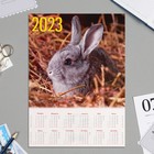 Календарь листовой "Символ года - 2023 - 9" А4 - фото 2768639