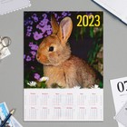 Календарь листовой "Символ года - 2023 - 10" А4 - фото 2768640